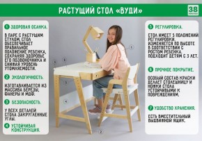 Комплект растущий стол и стул с чехлом 38 попугаев «Вуди» (Белый, Белый, Клетка) в Воткинске - votkinsk.mebel-74.com | фото