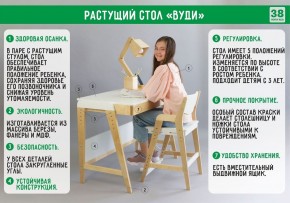 Комплект растущий стол и стул с чехлом 38 попугаев «Вуди» (Серый, Береза, Салют) в Воткинске - votkinsk.mebel-74.com | фото
