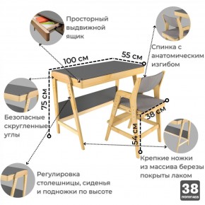 Комплект растущий стол и стул с чехлом 38 попугаев «Вуди» (Серый, Береза, Серый) в Воткинске - votkinsk.mebel-74.com | фото