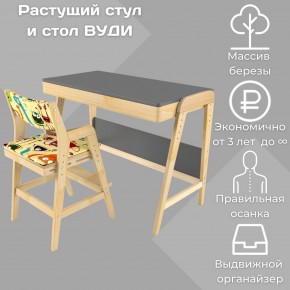Комплект растущий стол и стул с чехлом 38 попугаев «Вуди» (Серый, Без покрытия, Монстры) в Воткинске - votkinsk.mebel-74.com | фото